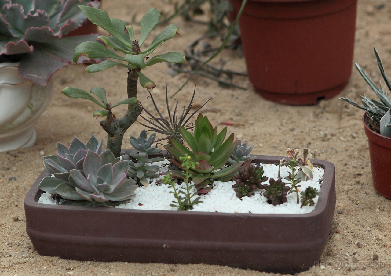 EOS 5D Mark II16_04_20135031.JPG